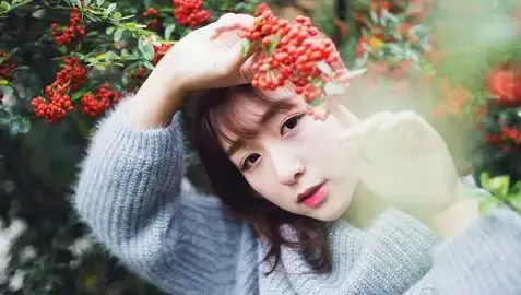 泰山最严禁石令