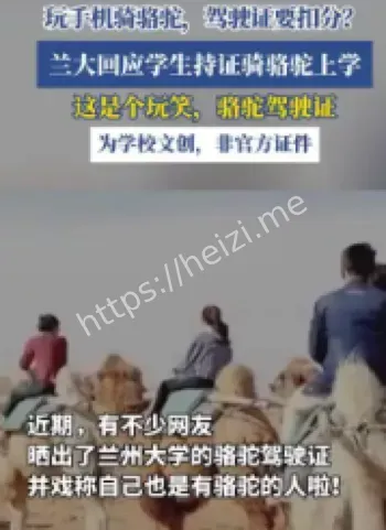 兰州大学骆驼驾驶证